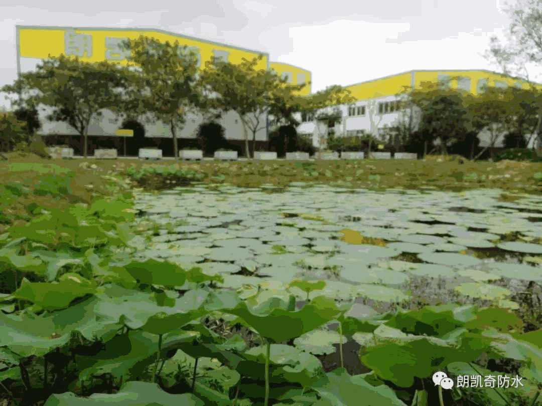 混凝土结构自防水,水泥基渗透结晶型防水涂料,防水涂料,朗凯奇防水.合肥防水,建筑防水材料,地下室防水,防水工程