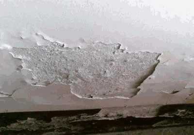 瓷砖胶,背胶,朗凯奇,防水涂料,防水材料