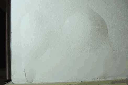 防水涂料,水泥基渗透结晶防水涂料,防水材料,朗凯奇,防水堵漏,墙体发霉