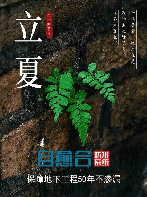 防水材料,防水涂料厂家,朗凯奇防水,防水堵漏,泳池防水施工