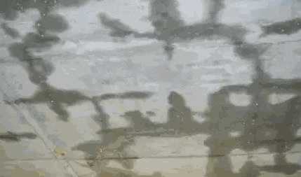 建筑渗漏水常见的问题分析及处理 建筑防水涂料,防水涂料厂家,防水材料,朗凯奇防水,防水材料,混凝土防水