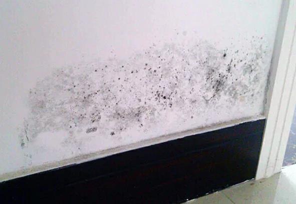 朗凯奇防水,防水材料堵漏方法,防水涂料厂家,家装防水,墙面防水材料,家装防水涂料公司