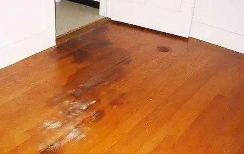 界面剂,地固,防水施工,防水涂料厂家,防水材料,朗凯奇,防水防潮