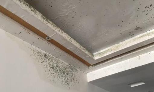 房屋楼顶漏水,房屋防水涂料,防水堵漏,朗凯奇,防水材料