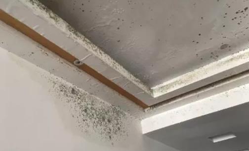 楼顶漏水防水施工,防水涂料,朗凯奇,屋顶防水