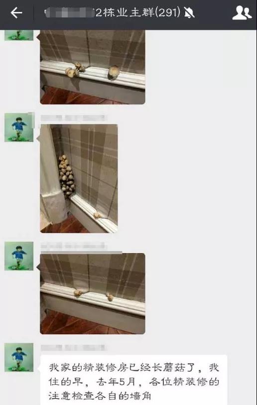 卫生间漏水,防水涂料厂家,防水材料,朗凯奇