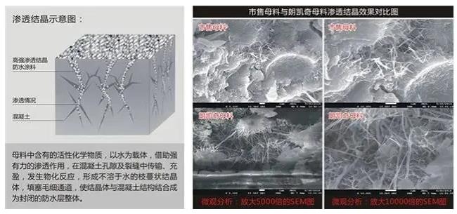 水泥基渗透结晶型防水材料,防水涂料厂家,防水材料,自愈合防水系统