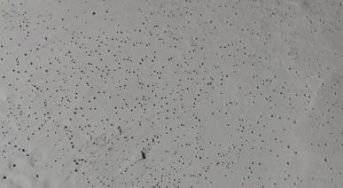 防水材料,防水涂料厂家,朗凯奇防水