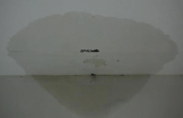 内墙防水,防水涂料厂家,防水材料