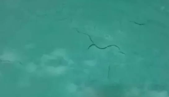 第一遍防水后,多久才可以刷第二遍防水涂料? 防水涂料,防水材料,防水,朗凯奇