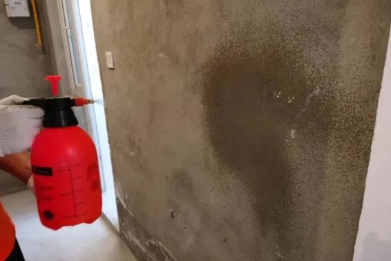 防水施工,防水层,朗凯奇防水,防水施工,防水涂膜,闭水试验