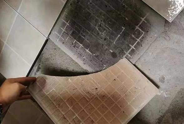 微信截图_20230612103041