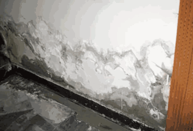 防水,防水涂料,防水材料,朗凯奇防水,防水堵漏,防漏渗水