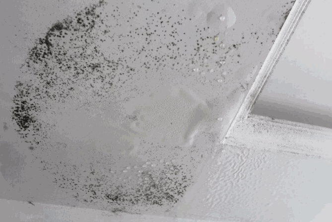 防水,防水涂料,防水材料,朗凯奇防水,防水堵漏,防漏渗水