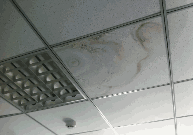 家里这些地方为什么会漏水? 家庭防水,防水堵漏,防水补漏,防水涂料品牌,中国防水十大品牌,朗凯奇防水