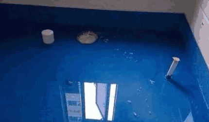 朗凯奇防水,防水堵漏,防水工程,防水补漏,防水涂料,防水材料厂家