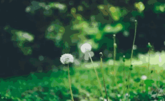 防水工程,防水涂料,防水材料,防水涂料十大品牌,朗凯奇防水,防水涂料厂家,防水堵漏