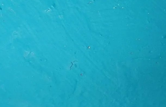 防水层,防水涂料施工