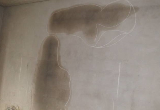 微信截图_20231219163008