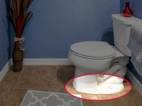 微信截图_20240329213416